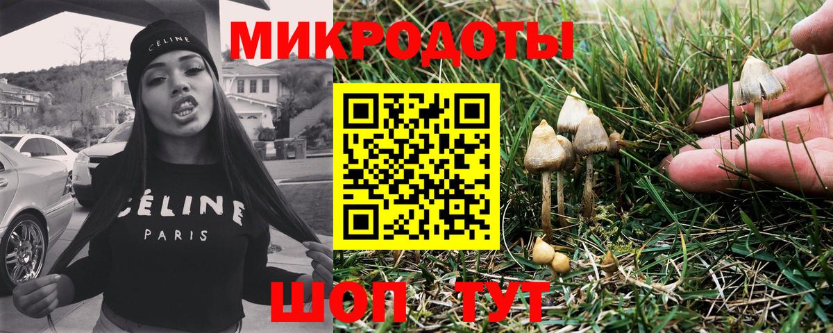 Галлюциногенные грибы MAGIC MUSHROOMS  Галлюциногенные грибы ЛСД  купить   Вход с VPN  Менделеевск 